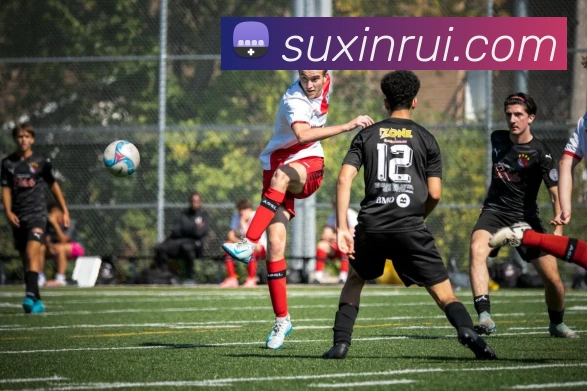 开云app发展历程