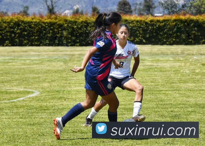 围绕开云官网打造全球领先数字娱乐与体育服务综合平台发展新格局